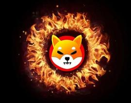 Shiba Inu：鲸鱼一次转移销毁 14 亿 SHIB_SHIB:SHIBA