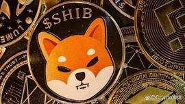 Shiba Inu 预计将上涨 300% 并达到 0.00003 美元：时间到了_SHIB:SUSHIBULL价格