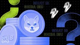 Shiba Inu (SHIB) 的价格是上涨还是下跌？_SHI:shibainu币最新消息