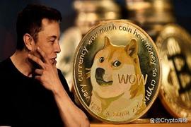 突发新闻：埃隆·马斯克表示X永远不会推出加密代币，看好狗狗币？_马斯克:马斯克最新推特狗狗币多少钱