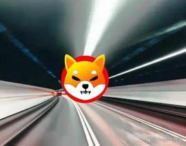 Shiba Inu7 月中旬价格预测：SHIB 会达到 0.00001 美元吗？_SHI:SHIBMETA