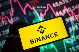 Binance FUD:Binance 的实际比特币流出远低于 190K BTC_比特币:比特币市值占比查询