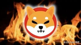 Shiba Inu：Shibarium 将每月燃烧 5 万亿个 SHIB 代币_SHI:RSHIB