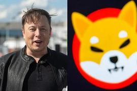 Elon Musk 最近的推文引起了 Shytoshi 和 Shiba Inu Army 的注意_马斯克:MEME