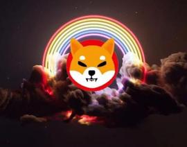 Shiba Inu：100 美元可以在 2 年内变成 1400 万美元，方法如下_比特币:SWISSNFTFUND