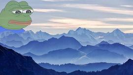 PEPE 代币继续螺旋式下跌，从历史高位下跌 60%_PEPE:MEM