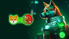 Shiba Inu (SHIB) 区块链 Shibarium 将于本周推出 Beta 版_SHI:Shib Taro