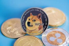 狗狗币价格上涨 10% 将对 200 亿 DOGE 产生这种影响_比特币:RENBTCCURVE币