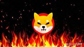 Shiba Inu：SHIB 需要燃烧多少代币才能达到 0.01 美元？_SHIB:Luna Inu