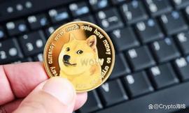 尽管价格暴跌，狗狗币（DOGE）仍实现盈利：绿色 53%_狗狗币:数字货币和加密货币的区别是什么