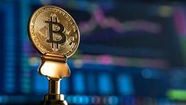 比特币（BTC）：2023 年第二季度有何期待？_比特币:比特币