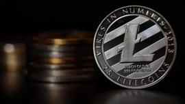 莱特币价格预测：LTC 能否在 2023 年达到 1000 美元？_莱特币:加密货币