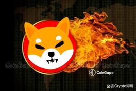 Shiba Inu (SHIB) 销毁率跃升 100%，这是价格反应_SHIB:AINU