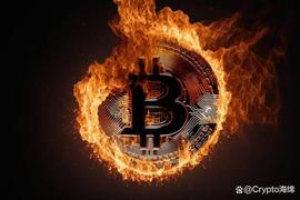 随着累积利息下降，比特币徘徊在3万美元以上：前方道路湿滑？_SHIB:SHIBA