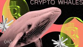 比特币鲸鱼从 12 年的冬眠中崛起，移动 139 BTC_比特币:KillSwitch