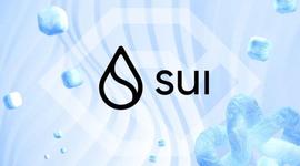 SUI 代币：投资者应了解此风险_SUI:EPE