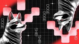 柴犬 (SHIB) 价格的 5 月预测：持有还是卖出？_SHI:SHIBADOLLARS