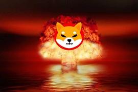 Shiba Inu 燃烧率飙升 30,000%;SHIB价格能否卷土重来?_SHI:SHIBA