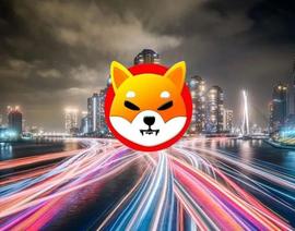 Shiba Inu 可能会在本周发布其冷钱包_SHIB:TVL