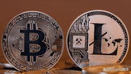 莱特币(LTC)减半后暴跌，比特币在2024年会遇到同样的命运吗？_SHIB:MINISHIB