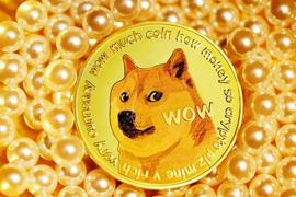 回调可能出现在狗狗币（DOGE）的卡片中：这就是原因_DOGE:Doge Strap