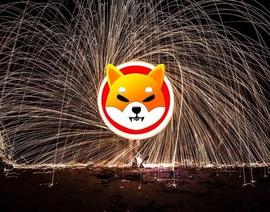 柴犬（SHIB）年度最大燃烧：1笔交易烧掉11亿_SHI:ROBOSHIB