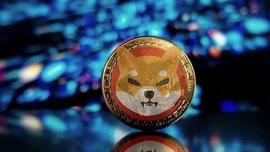 柴犬(SHIB)：随着斗争的继续，价格可能跌至0.000009美元的水平_SHI:SHIBA