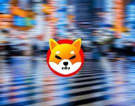 Shiba Inu：1,000 美元的投资在 2023 年 4 月变成 2200 万美元_SHI:AIN