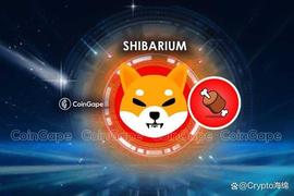 Shiba Inu 首席开发人员发布了最终的 Shibarium 扩展更新_SHI:SHIBLITE价格