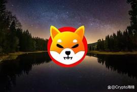 Shiba Inu：10% 的看涨波动之后SHIB可能会出现价格调整_SHIB:FINDSHIBBY