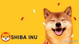 Shiba Inu 预计将再涨 66%：就在此时_SHIB:ShibarmyZilla