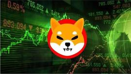 Shiba Inu 基本面看起来强劲，SHIB 价格何时跟随？_SHIB:tonarts