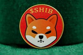 Shiba Inu 社区在 4 月份销毁了超过 30 亿美元的 SHIB 代币_SHI:Floshido Inu