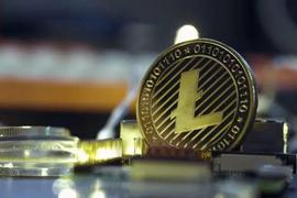 莱特币减半会将 LTC 推高至 100 美元以上吗？_XRP:PPL