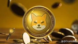 随着价格飙升，柴犬（SHIB）的市值增长了 5 亿美元_SHIB:SHI
