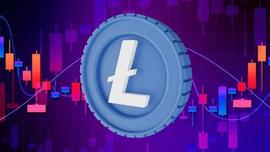 莱特币：2023 年 LTC 减半有何期待？_LTC:DLTC币