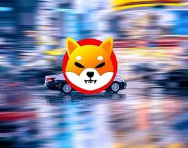 Shiba Inu：一个关于“数百万人的模因”的令人难以置信的故事_SHI:BABYSHIBAINU