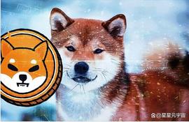 「币圈资讯」柴犬生态系统中BONE、SHIB、LEASH的盈利能力差异_SHI:Shiba Shogun