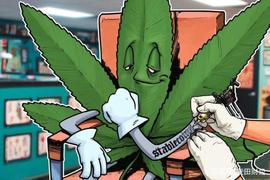 麦田财经｜加州会议提出允许大麻相关企业用加密货币缴税_加密货币:DOGEDASH