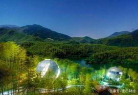 十个“脑洞大开”的区块链应用，其中涉及月球、宠物和教育_区块链:比特币