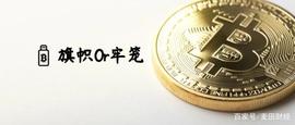 如今的比特币是旗帜还是牢笼？_区块链:carVertical