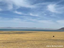 区块链安全——什么是51％的攻击？_比特币:区块链