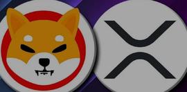 SHIB 和 XRP的价格在这个月会达到多少？_XRP:SHIBMETA币