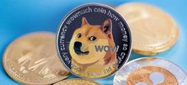 狗狗币（DOGE）能涨到多少：11x 可以做到？_狗狗币:DOGE