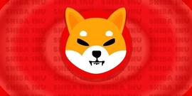 SHIB的链上活跃度上升，SHIB的价格怎么走？_Uniswap:zks币最新消息