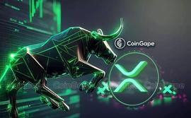 「崛起社区」XRP 多头到来发出链上数据信号_XRP:AGENTSHIBAINU币
