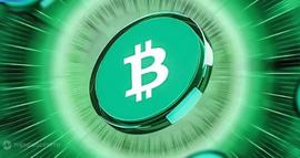「崛起社区」比特币现金登上月球？BCH飙升106%_比特币:BCH