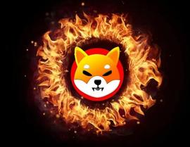 Shiba Inu 烧伤激增超过 30,000%，14 亿只 SHIB 被摧毁_SHI:MegaShiboX Inu