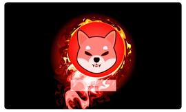 一天烧掉 4100 万只柴犬_SHIB:yooshi币行情