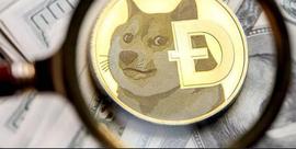 Dogecoin Trader 在推特“趋势”上获利 110 万美元_TREE:aidoge币能涨到1分吗